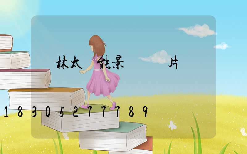 園林太陽能景觀燈圖片