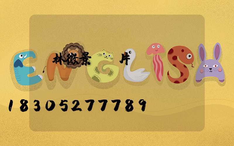 園林微景觀圖片