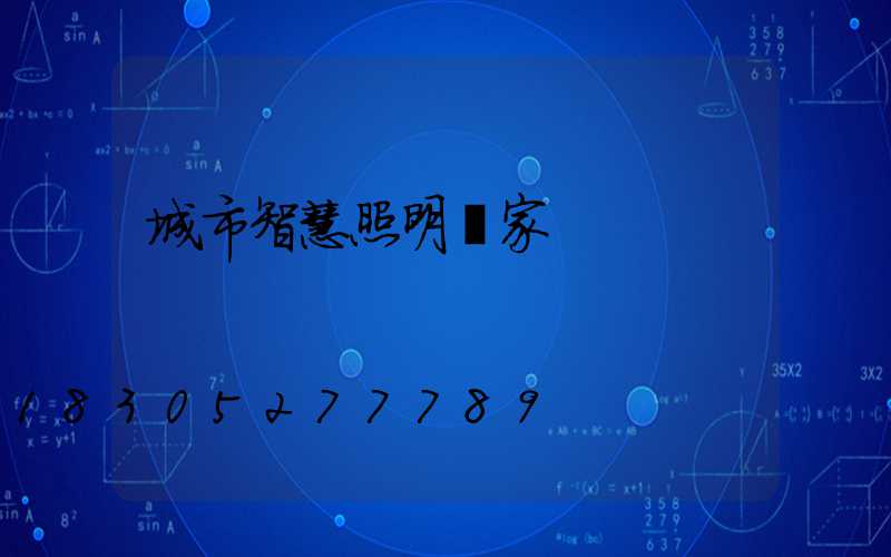 城市智慧照明廠家