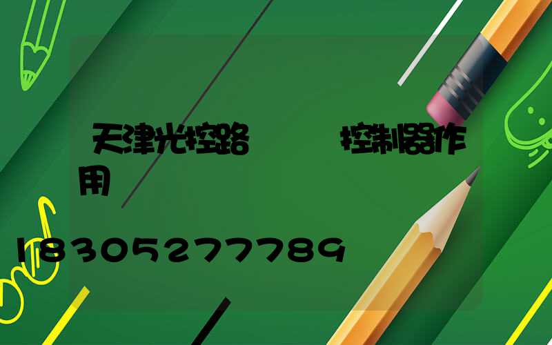 天津光控路燈單燈控制器作用