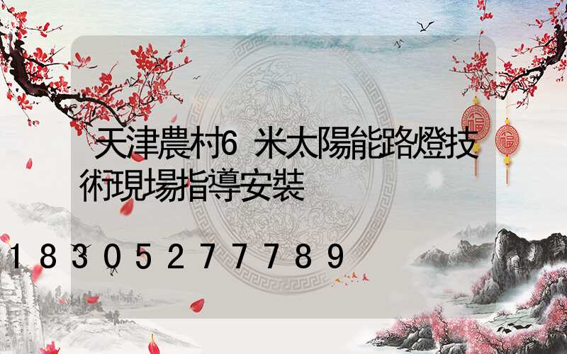 天津農村6米太陽能路燈技術現場指導安裝