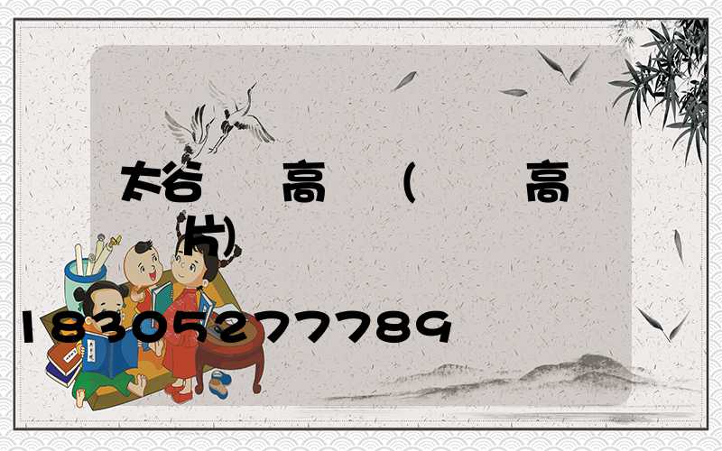 太谷雙頭高桿燈(雙頭高桿燈圖片)