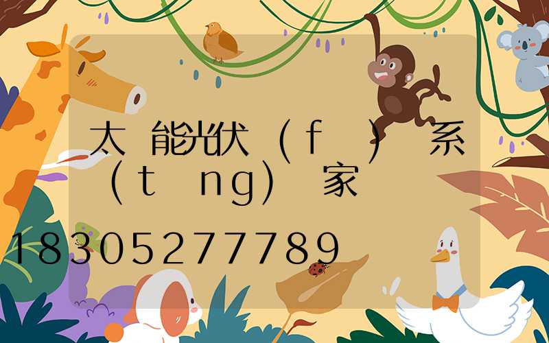 太陽能光伏發(fā)電系統(tǒng)廠家