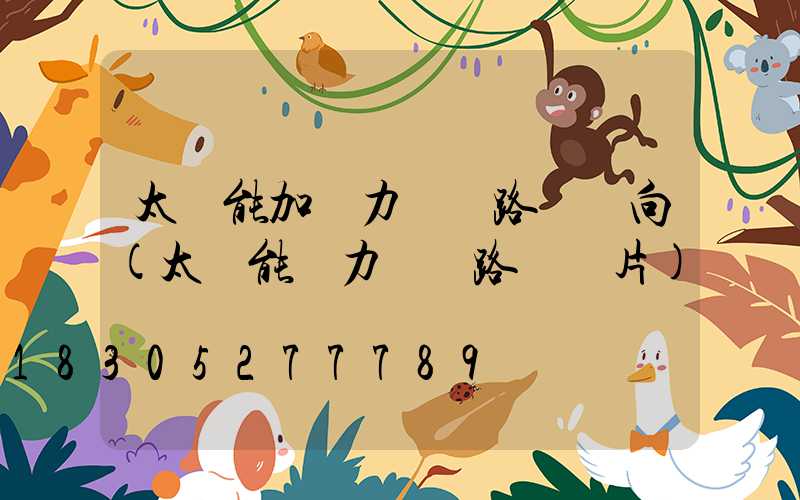 太陽能加風力發電路燈風向(太陽能風力發電路燈圖片)