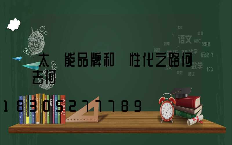 太陽能品牌和個性化之路何去何從