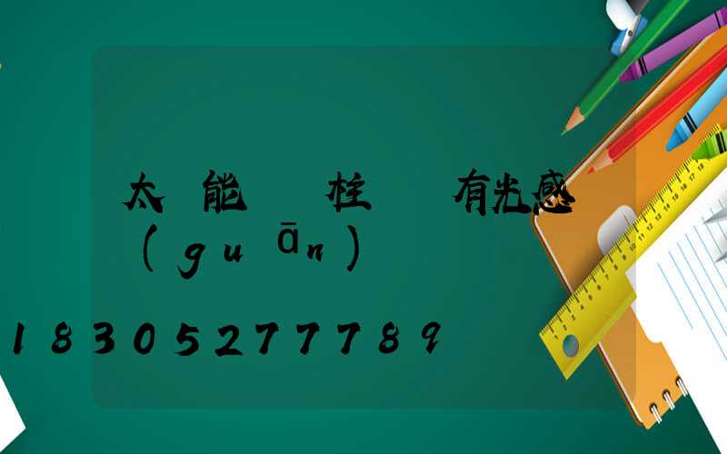 太陽能圍墻柱頭燈有光感開關(guān)嗎