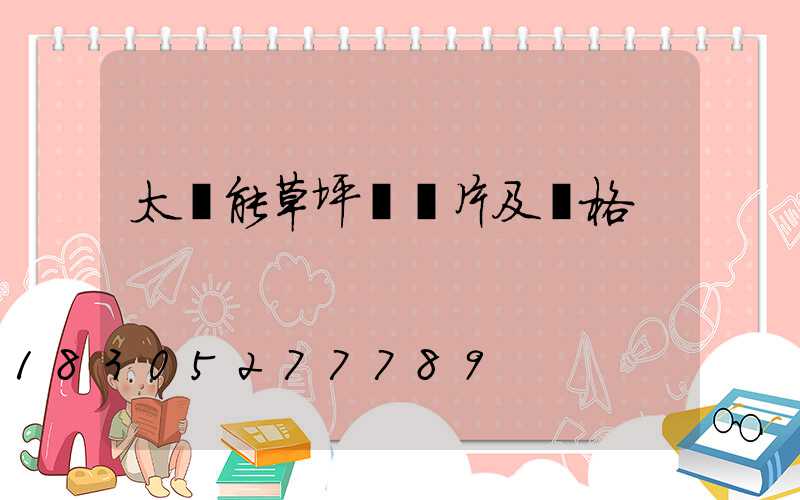 太陽能草坪燈圖片及價格