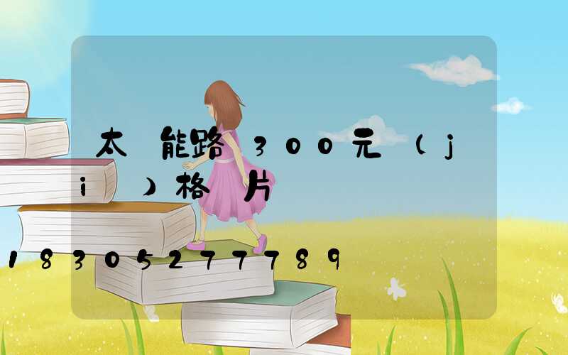 太陽能路燈300元價(jià)格圖片