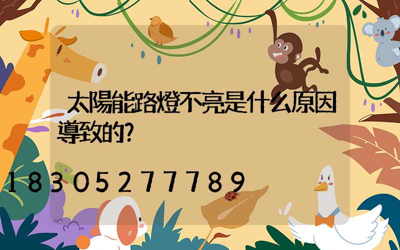 太陽能路燈不亮是什么原因導致的？