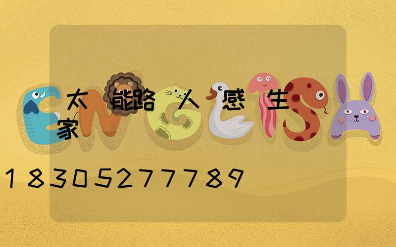 太陽能路燈人體感應生產廠家
