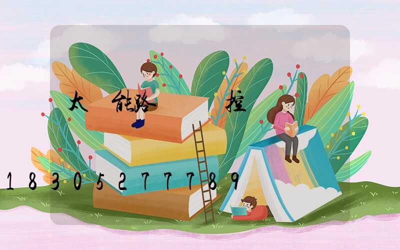 太陽能路燈帶監控