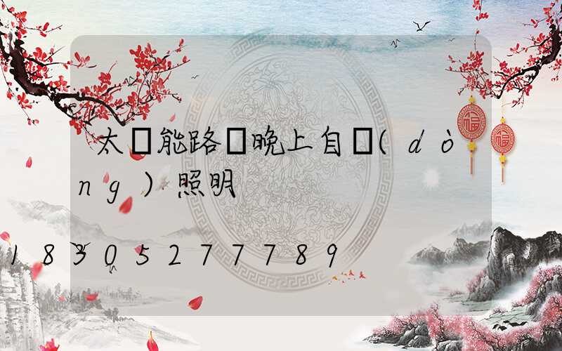 太陽能路燈晚上自動(dòng)照明