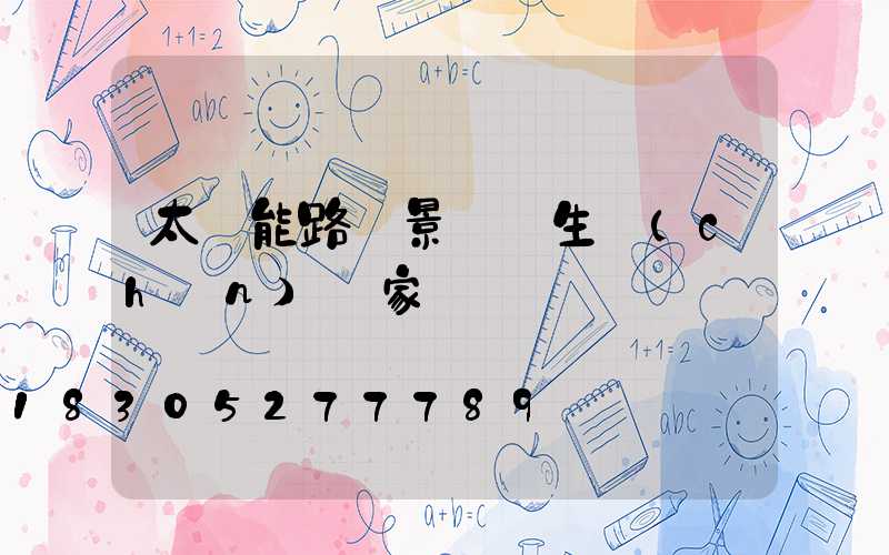 太陽能路燈景觀燈生產(chǎn)廠家