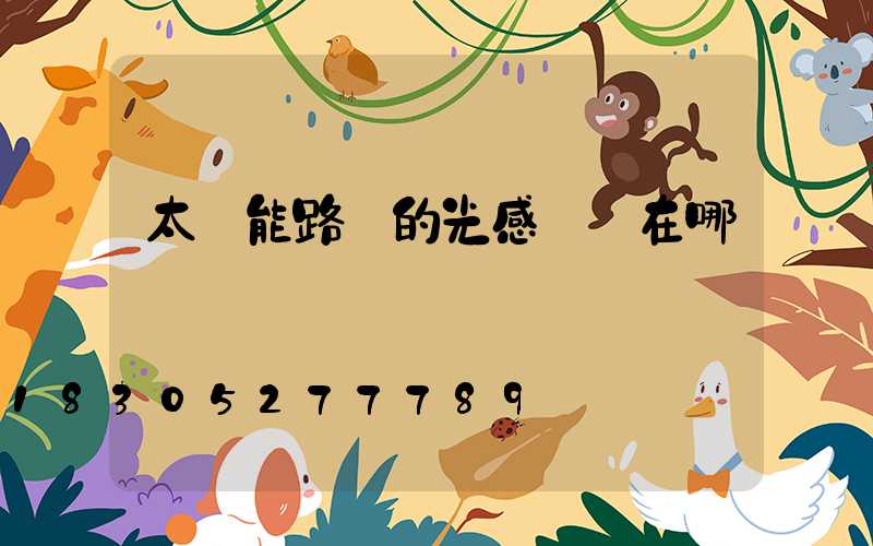 太陽能路燈的光感開關在哪