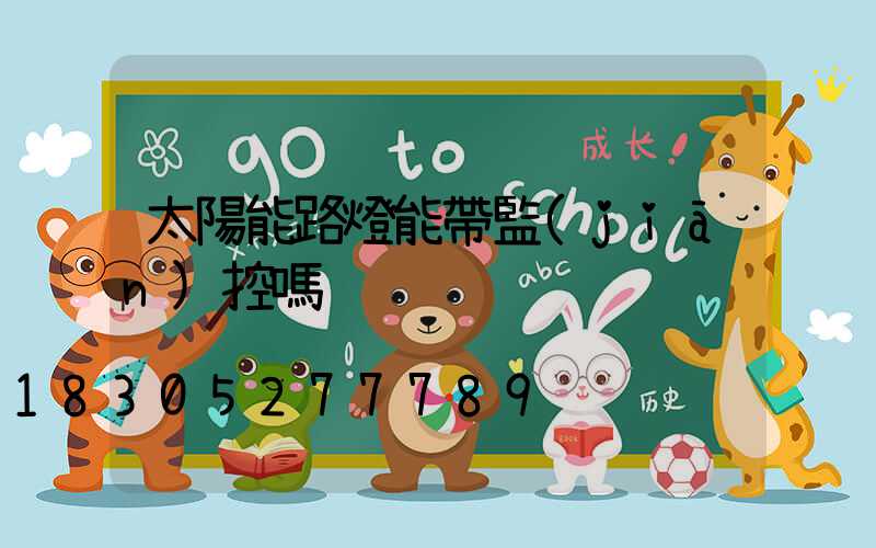 太陽能路燈能帶監(jiān)控嗎