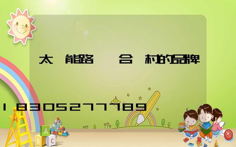 太陽能路燈適合農村的品牌