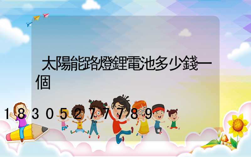 太陽能路燈鋰電池多少錢一個
