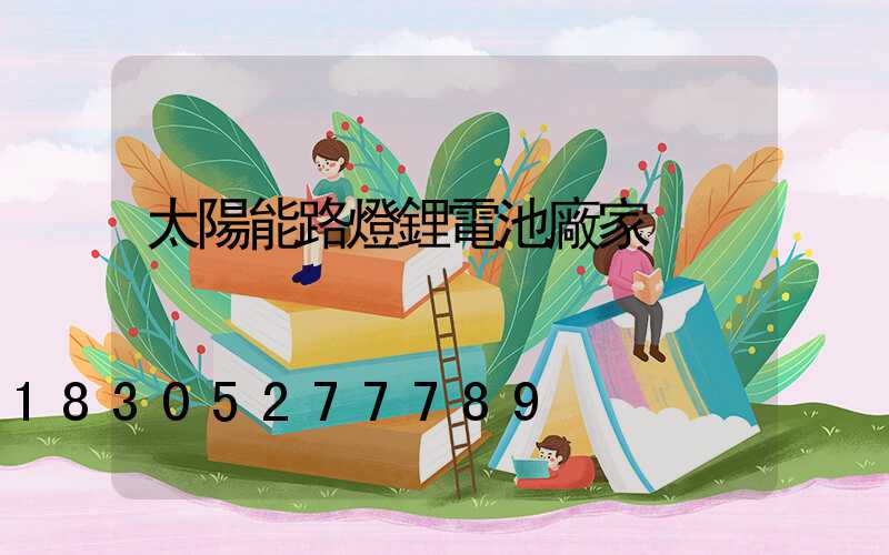 太陽能路燈鋰電池廠家