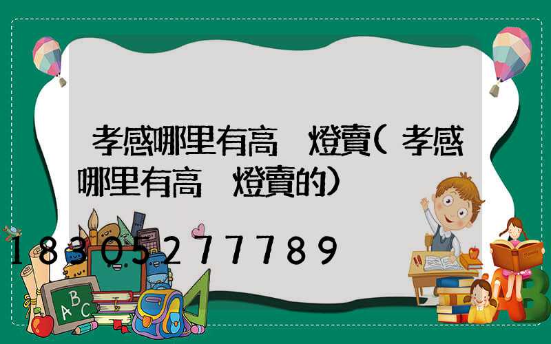 孝感哪里有高桿燈賣(孝感哪里有高桿燈賣的)