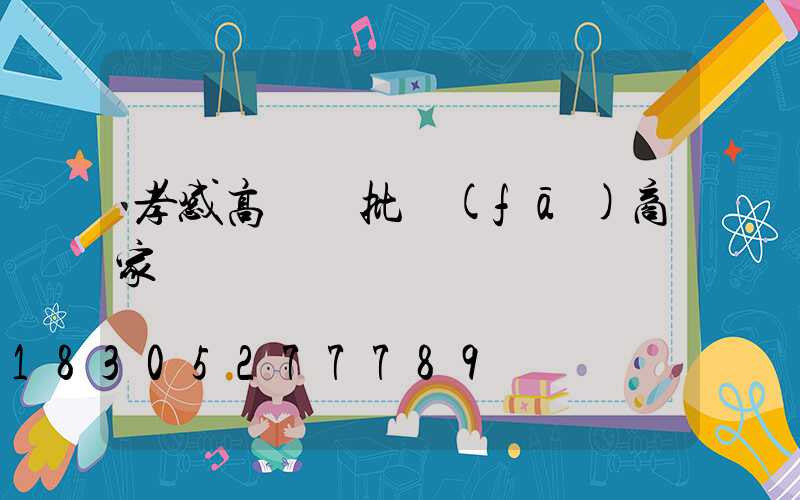 孝感高桿燈批發(fā)商家