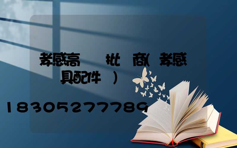 孝感高桿燈批發商(孝感優質燈具配件廠)