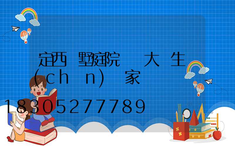 定西別墅庭院鋁藝大門生產(chǎn)廠家