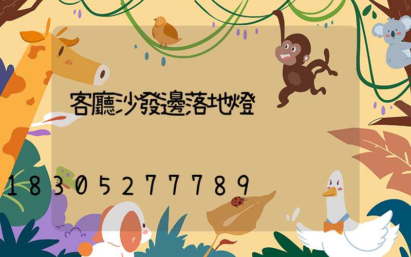 客廳沙發邊落地燈