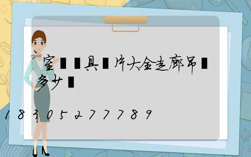 室內燈具圖片大全走廊吊燈多少錢