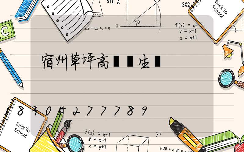 宿州草坪高桿燈生產