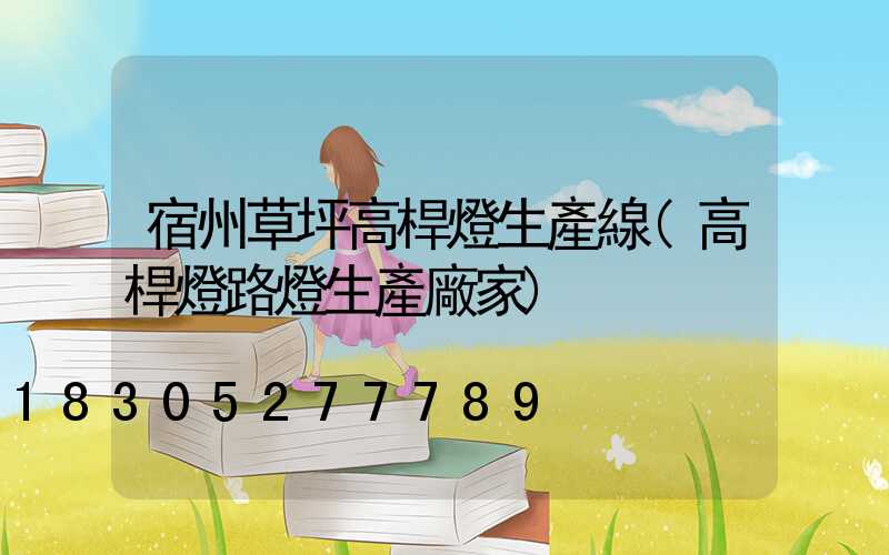 宿州草坪高桿燈生產線(高桿燈路燈生產廠家)