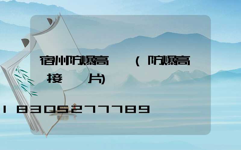 宿州防爆高桿燈(防爆高桿燈接線圖片)