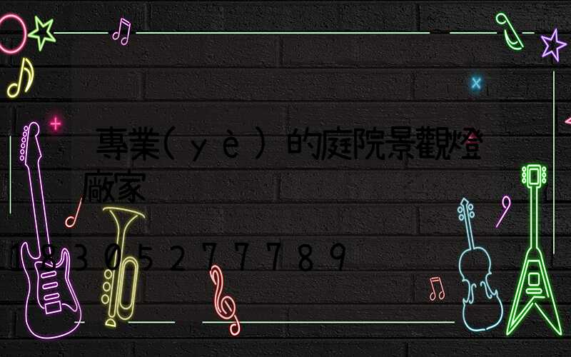 專業(yè)的庭院景觀燈廠家