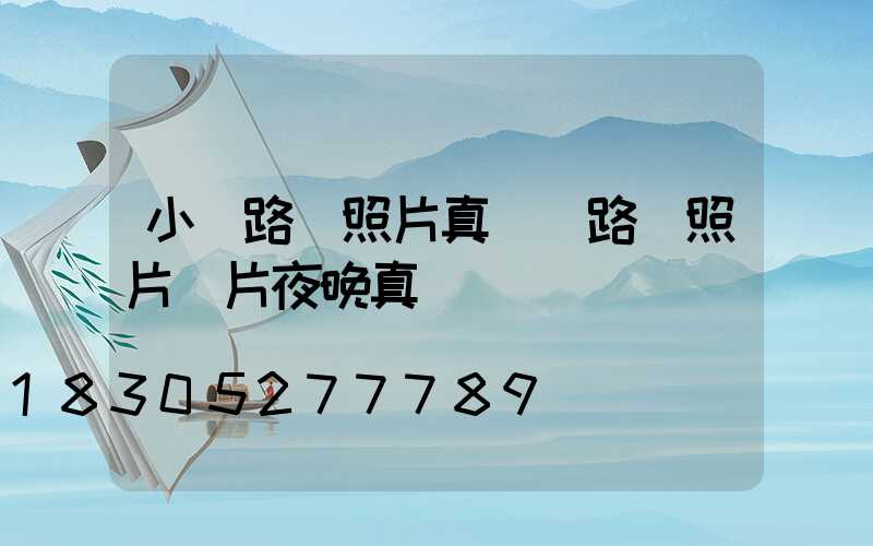 小區路燈照片真實(路燈照片圖片夜晚真實)