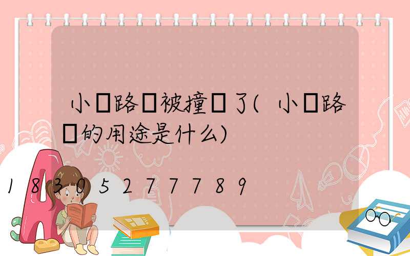 小區路燈被撞壞了(小區路燈的用途是什么)