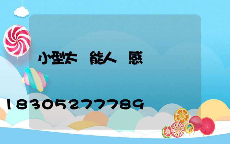 小型太陽能人體感應燈