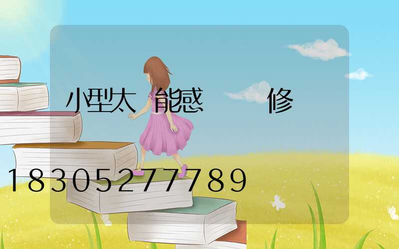 小型太陽能感應燈維修