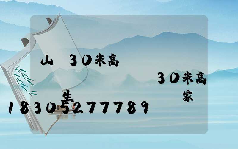 山東30米高桿燈報(bào)價(jià)(30米高桿燈生產(chǎn)廠家)