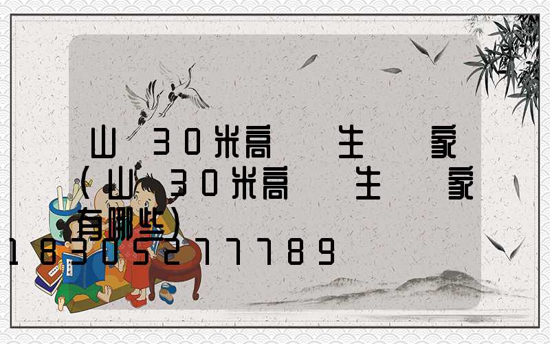 山東30米高桿燈生產廠家(山東30米高桿燈生產廠家有哪些)