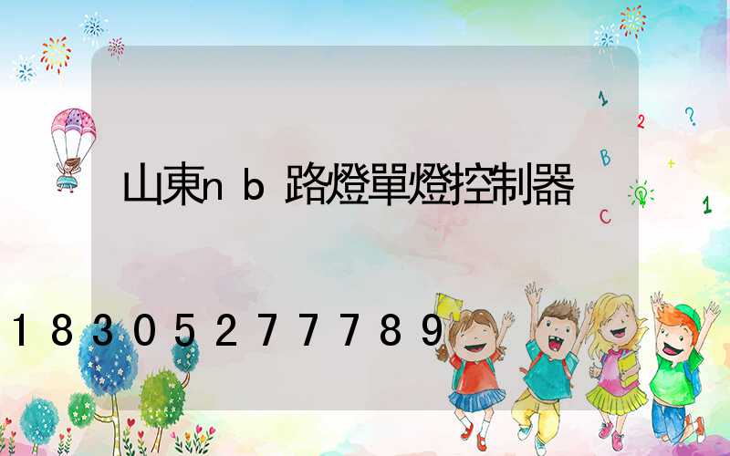 山東nb路燈單燈控制器