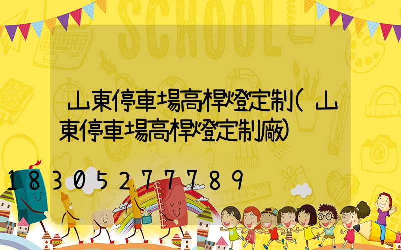 山東停車場高桿燈定制(山東停車場高桿燈定制廠)