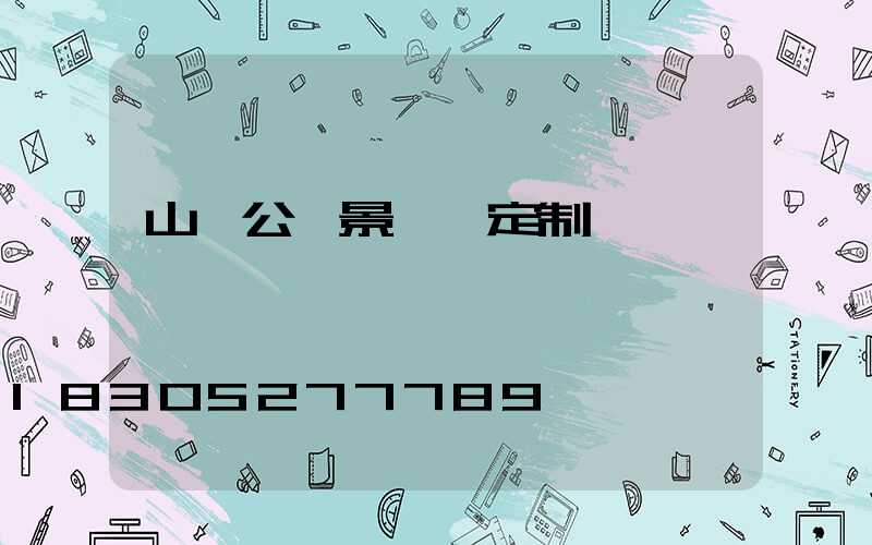 山東公園景觀燈定制