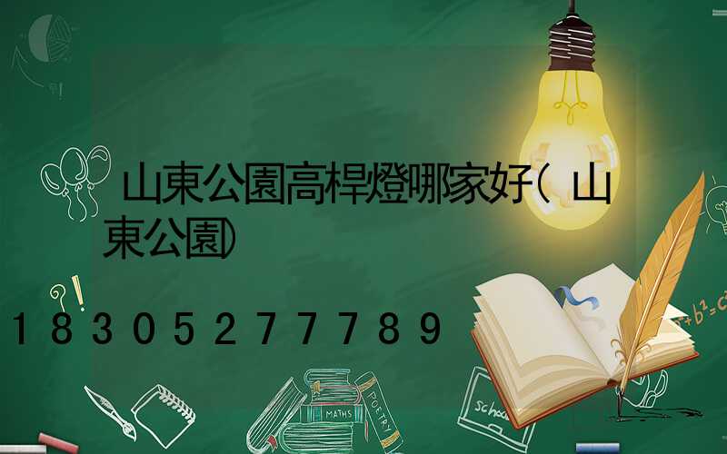 山東公園高桿燈哪家好(山東公園)