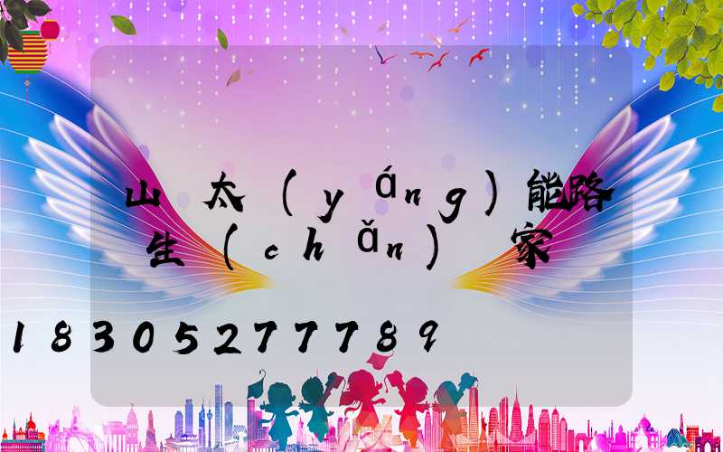 山東太陽(yáng)能路燈生產(chǎn)廠家