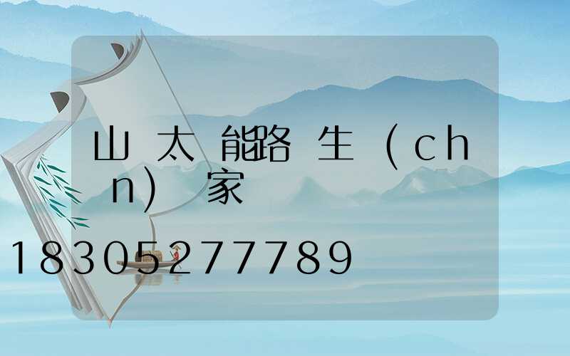 山東太陽能路燈生產(chǎn)廠家
