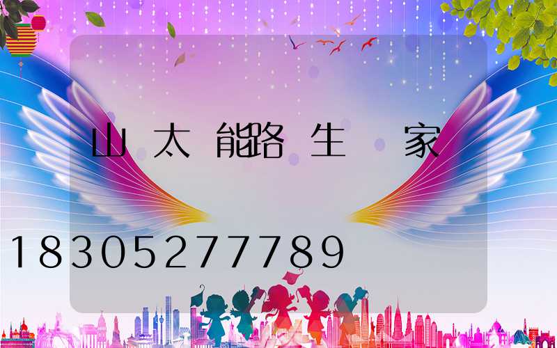 山東太陽能路燈生產廠家