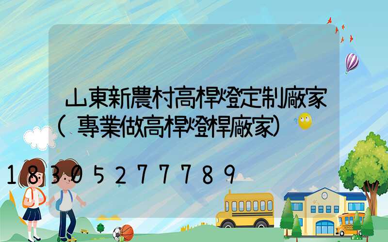 山東新農村高桿燈定制廠家(專業做高桿燈桿廠家)