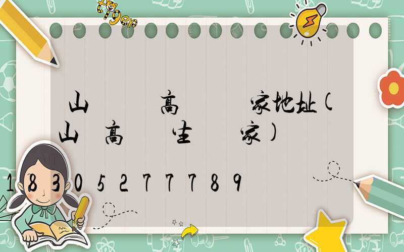 山東機場高桿燈廠家地址(山東高桿燈生產廠家)