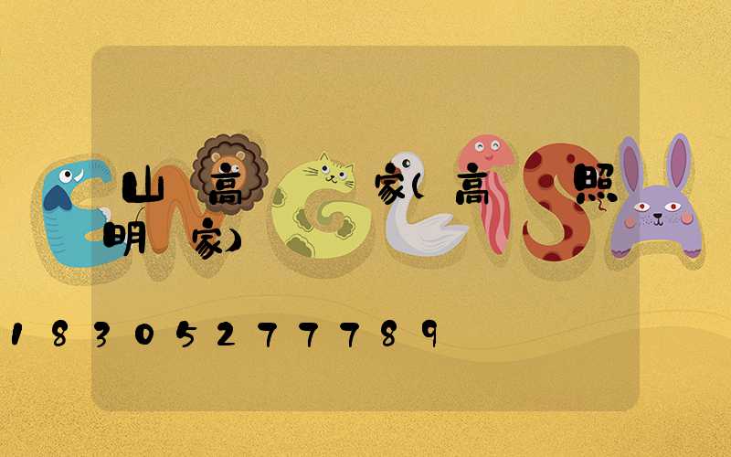 山東高桿燈廠家(高桿燈照明廠家)