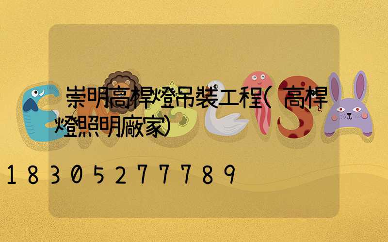 崇明高桿燈吊裝工程(高桿燈照明廠家)