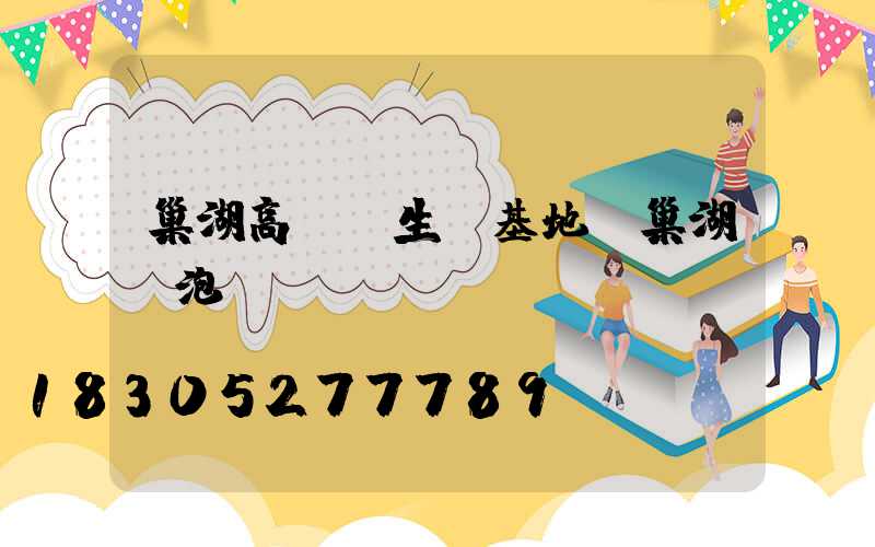 巢湖高桿燈生產基地(巢湖燈泡廠)